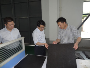 盐城市盐都区委书记、区长吴本辉莅临宝光公司参观